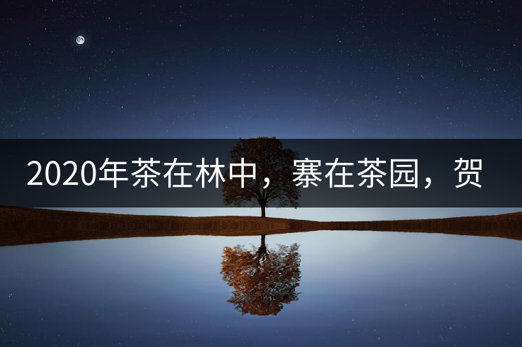 2020年茶在林中，寨在茶園，賀開古樹茶-易武中聘號(hào)