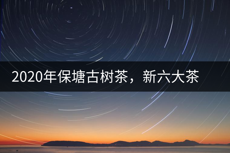 2020年保塘古樹茶，新六大茶山之勐宋茶佼佼者-易武中聘號(hào)