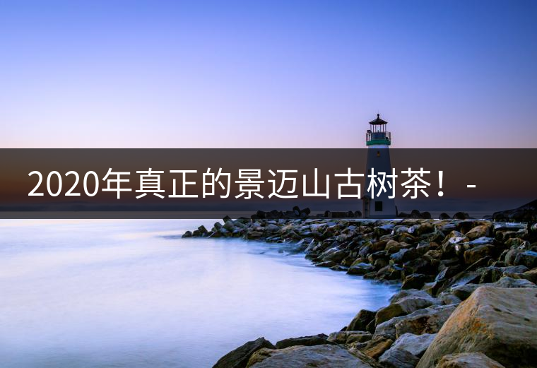 2020年真正的景邁山古樹茶！-易武中聘號