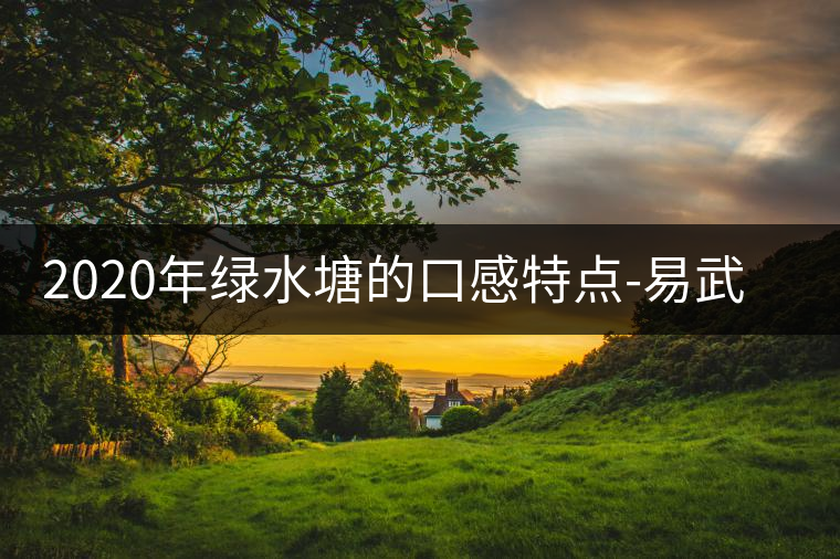 2020年綠水塘的口感特點(diǎn)-易武中聘號