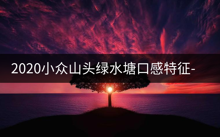 2020小眾山頭綠水塘口感特征-易武中聘號 2020小眾山頭綠水塘口感特征-易武中聘號