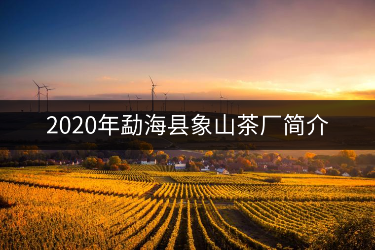 2020年勐??h象山茶廠簡(jiǎn)介 2020年勐??h象山茶廠簡(jiǎn)介