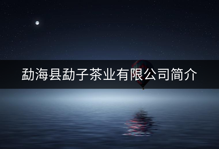 勐?？h勐子茶業(yè)有限公司簡介