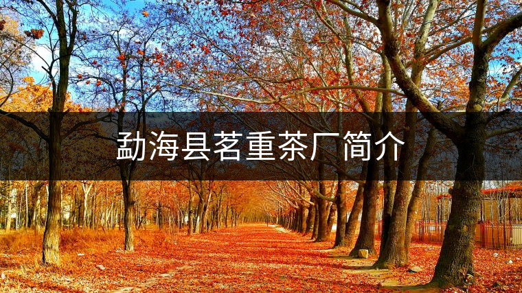 勐?？h茗重茶廠簡介