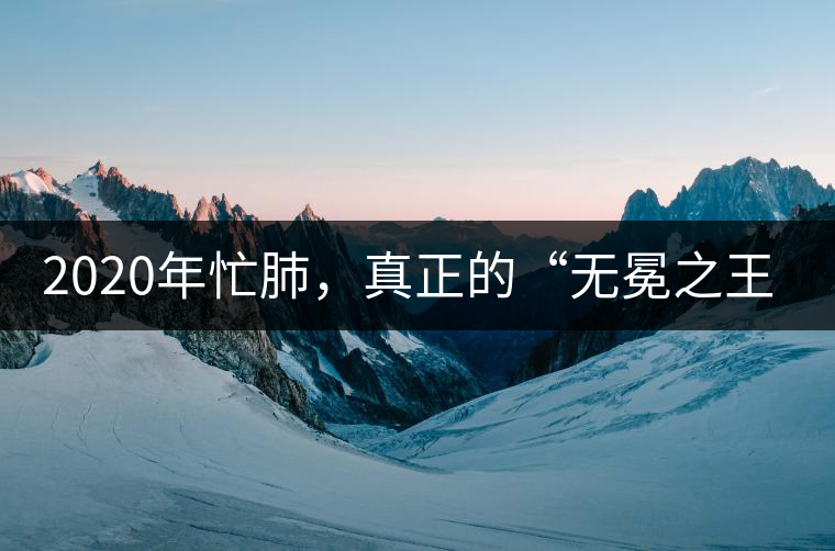2020年忙肺，真正的“無(wú)冕之王”！-易武中聘號(hào)