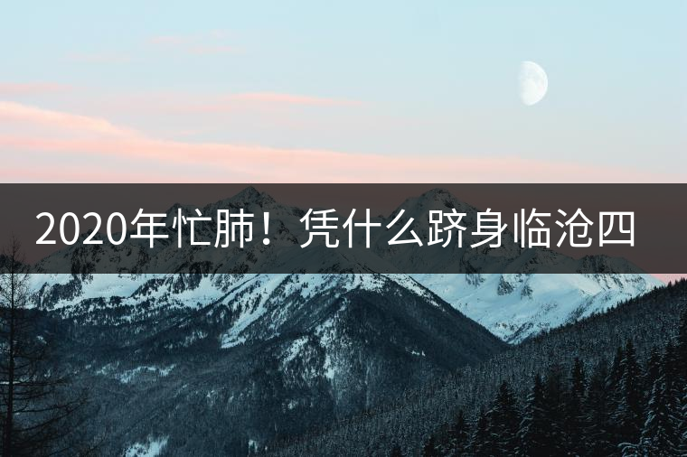 2020年忙肺！憑什么躋身臨滄四大名茶-易武中聘號