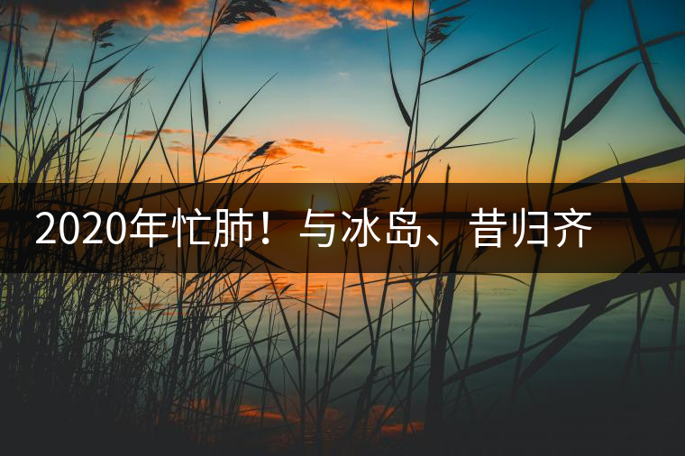 2020年忙肺！與冰島、昔歸齊名的普洱茶，到底是什么味道？-易武中聘號(hào)