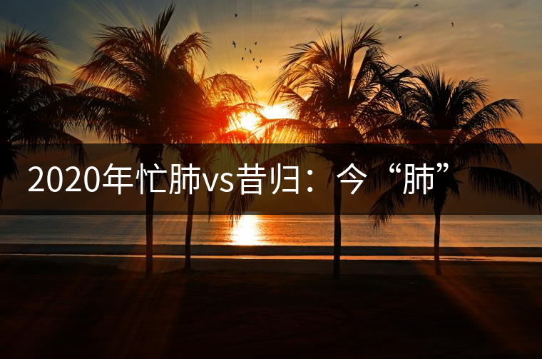 2020年忙肺vs昔歸：今“肺”“昔”比-易武中聘號