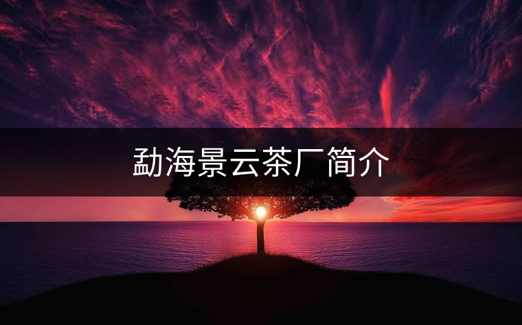勐海景云茶廠簡(jiǎn)介 勐海景云茶廠簡(jiǎn)介
