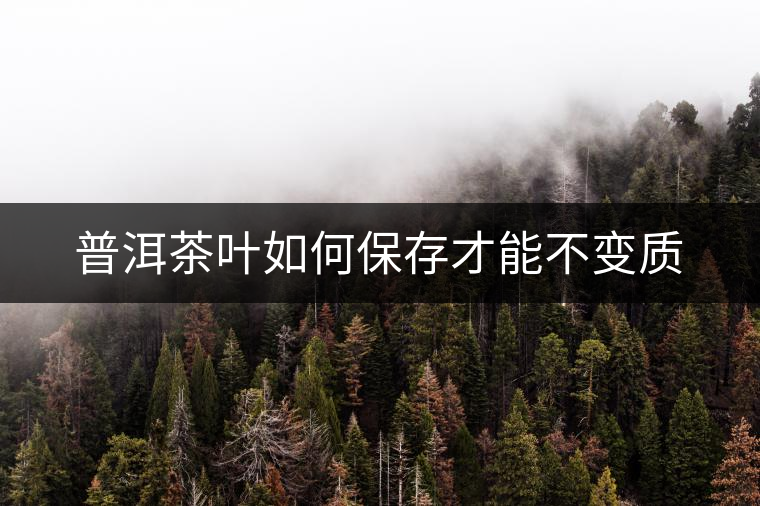 普洱茶葉如何保存才能不變質(zhì)