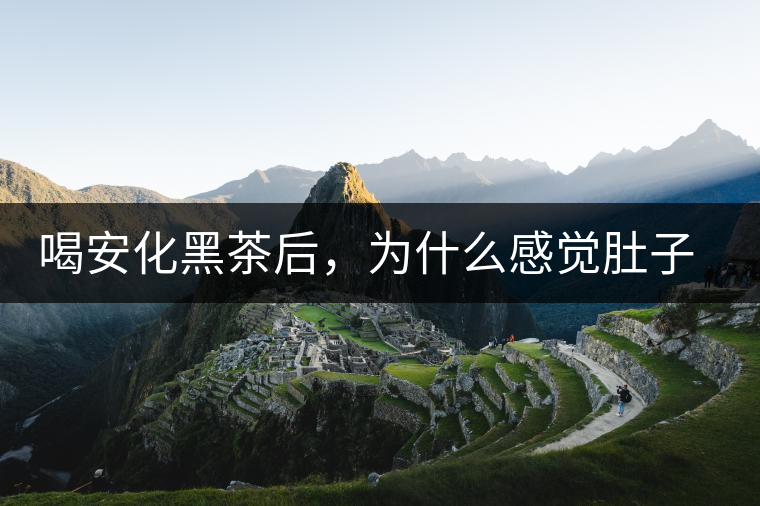 喝安化黑茶后，為什么感覺肚子餓的快？