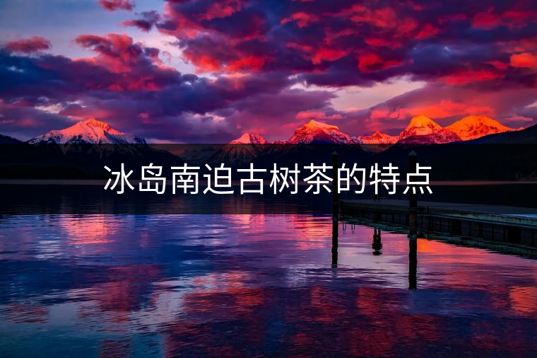 冰島南迫古樹茶的特點(diǎn)