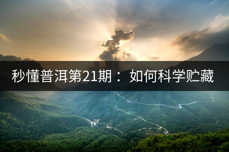 秒懂普洱第21期 ：如何科學貯藏普洱茶？