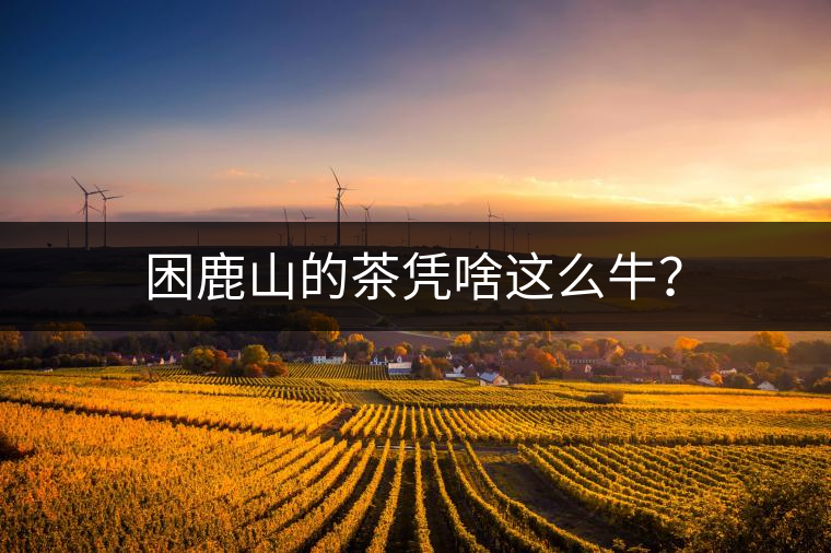 困鹿山的茶憑啥這么牛？