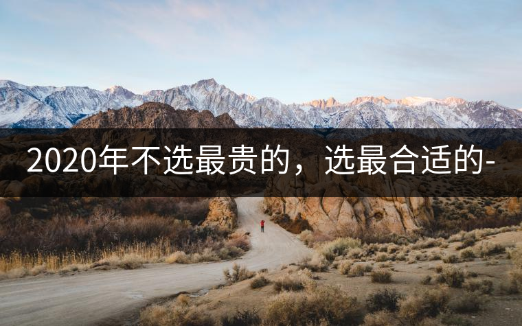 2020年不選最貴的，選最合適的-無量山古樹茶 |-易武中聘號(hào)