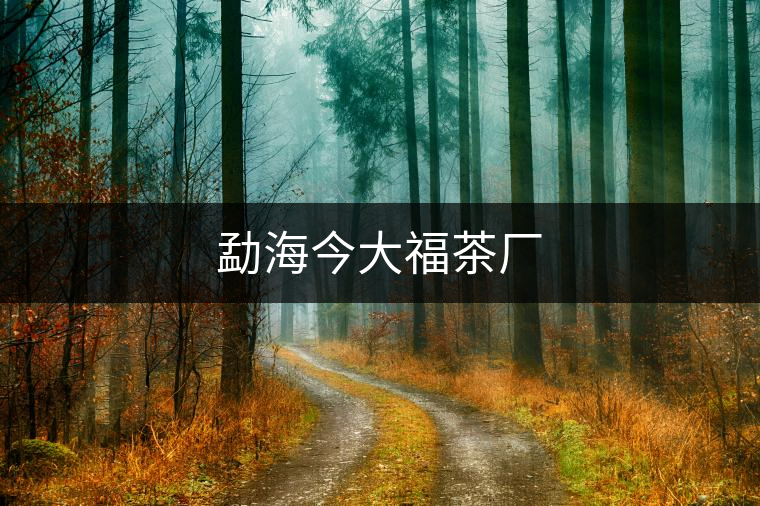 勐海今大福茶廠