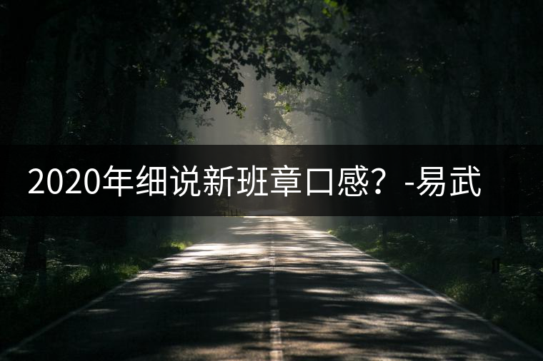2020年細(xì)說新班章口感？-易武中聘號(hào)
