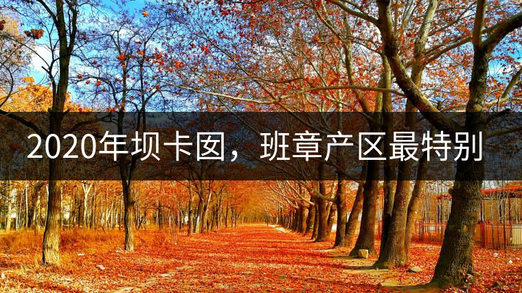 2020年壩卡囡，班章產(chǎn)區(qū)最特別的茶 -易武中聘號(hào)