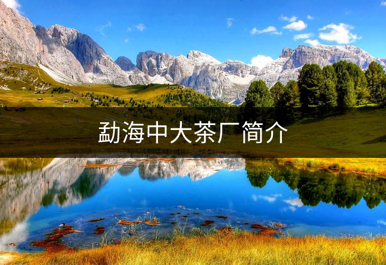 勐海中大茶廠簡(jiǎn)介 勐海中大茶廠簡(jiǎn)介