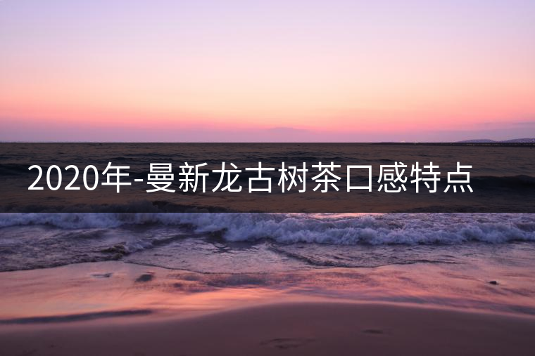 2020年-曼新龍古樹茶口感特點-易武中聘號