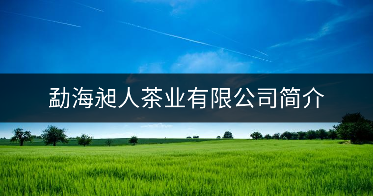 勐海昶人茶業(yè)有限公司簡(jiǎn)介 勐海昶人茶業(yè)有限公司簡(jiǎn)介