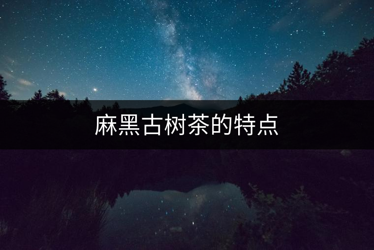 麻黑古樹茶的特點(diǎn) 麻黑古樹茶的特點(diǎn)