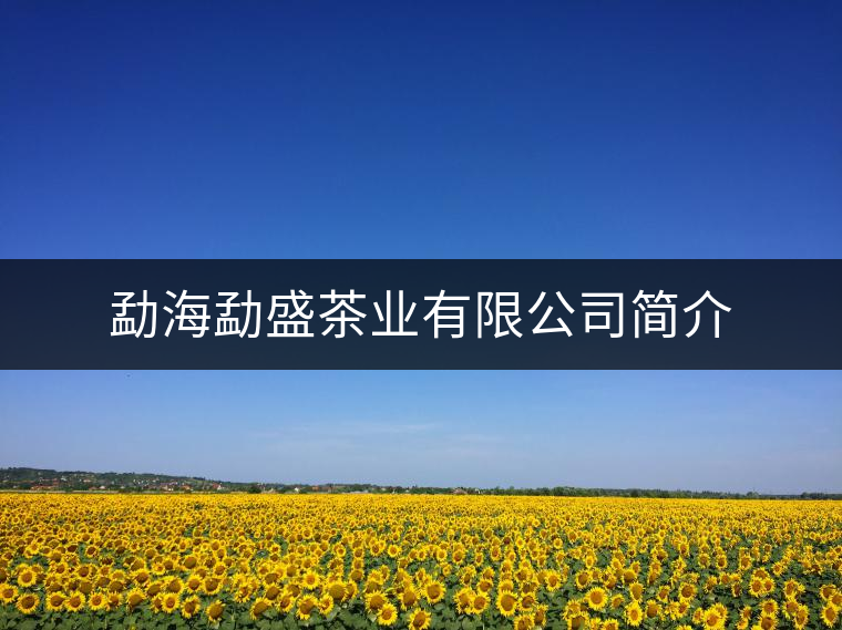 勐海勐盛茶業(yè)有限公司簡(jiǎn)介