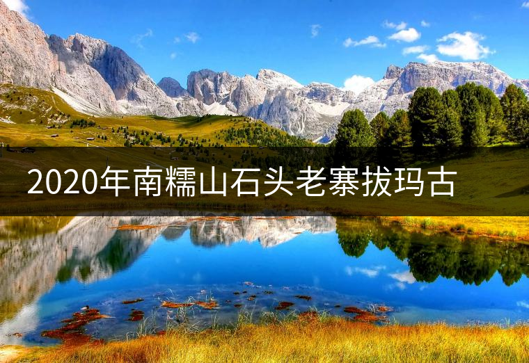2020年南糯山石頭老寨拔瑪古樹：醇柔之質(zhì)，綿遠(yuǎn)之韻-易武中聘號(hào)