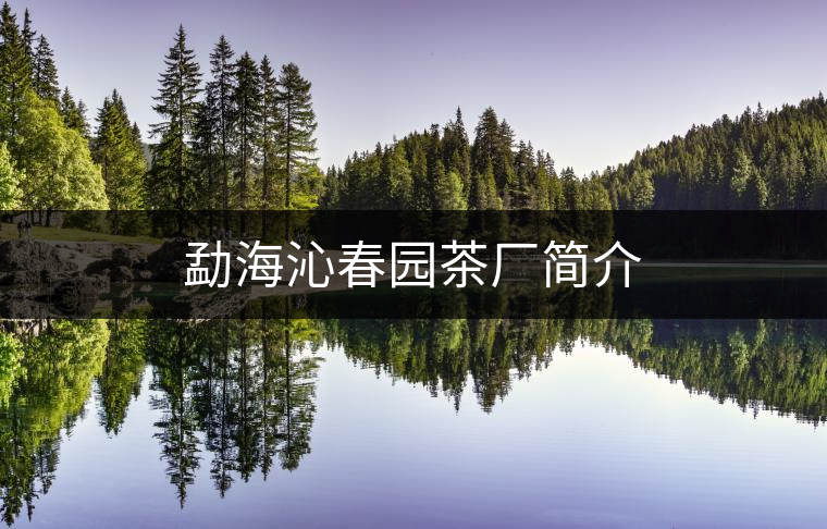 勐海沁春園茶廠(chǎng)簡(jiǎn)介 勐海沁春園茶廠(chǎng)簡(jiǎn)介