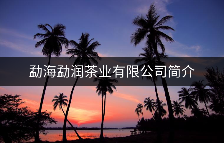 勐海勐潤(rùn)茶業(yè)有限公司簡(jiǎn)介