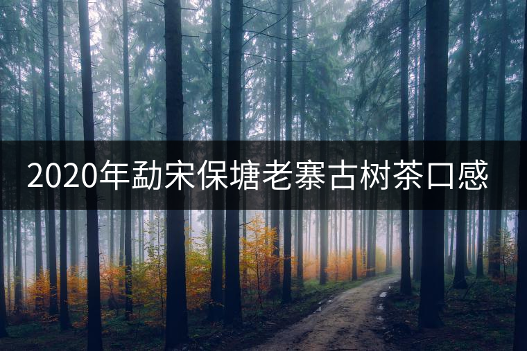 2020年勐宋保塘老寨古樹茶口感-易武中聘號(hào) 2020年勐宋保塘老寨古樹茶口感-易武中聘號(hào)