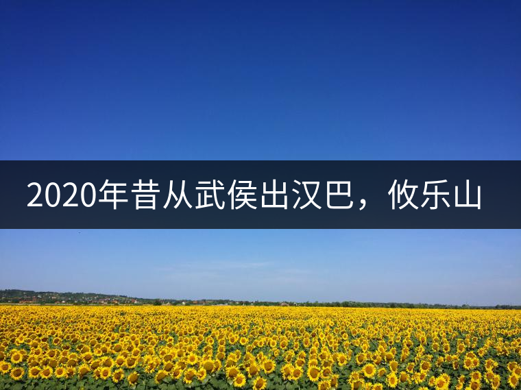 2020年昔從武侯出漢巴，攸樂山中只種茶。-易武中聘號