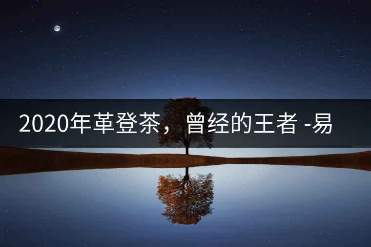 2020年革登茶，曾經(jīng)的王者 -易武中聘號