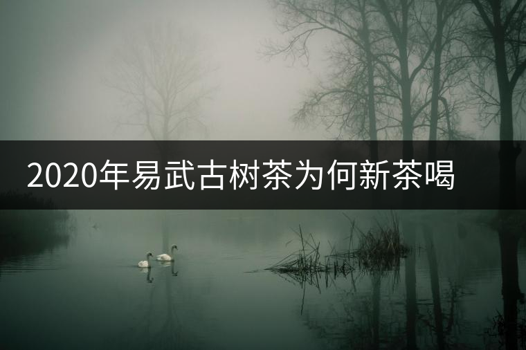 2020年易武古樹(shù)茶為何新茶喝時(shí)淡卻越放越濃？-易武中聘號(hào)