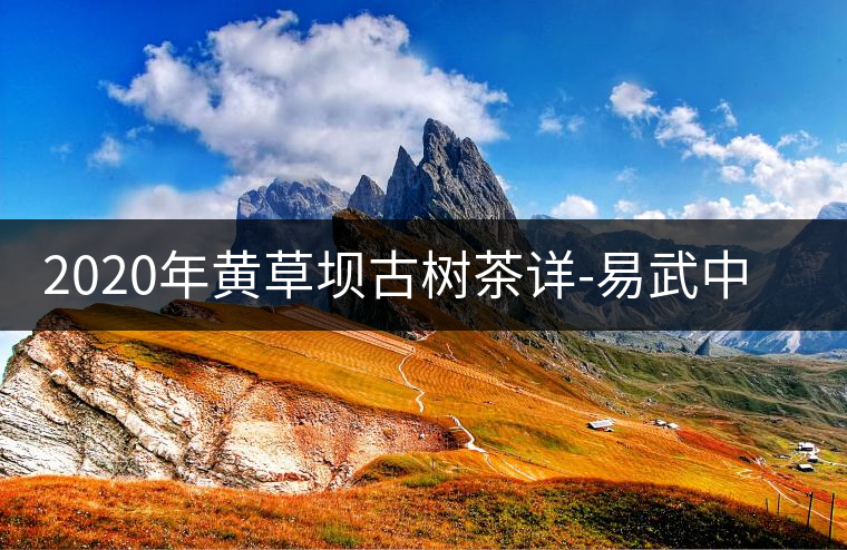 2020年黃草壩古樹(shù)茶詳-易武中聘號(hào) 2020年黃草壩古樹(shù)茶詳-易武中聘號(hào)