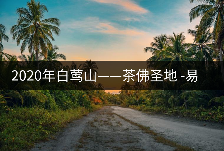 2020年白鶯山——茶佛圣地 -易武中聘號 2020年白鶯山——茶佛圣地 -易武中聘號