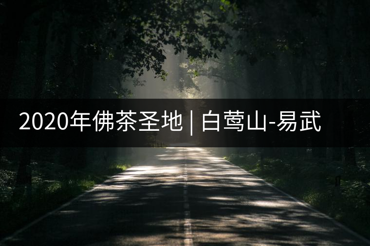 2020年佛茶圣地 | 白鶯山-易武中聘號(hào)