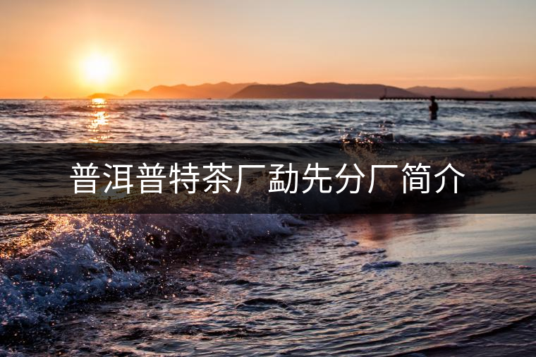 普洱普特茶廠勐先分廠簡介 普洱普特茶廠勐先分廠簡介