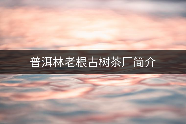 普洱林老根古樹(shù)茶廠(chǎng)簡(jiǎn)介 普洱林老根古樹(shù)茶廠(chǎng)簡(jiǎn)介