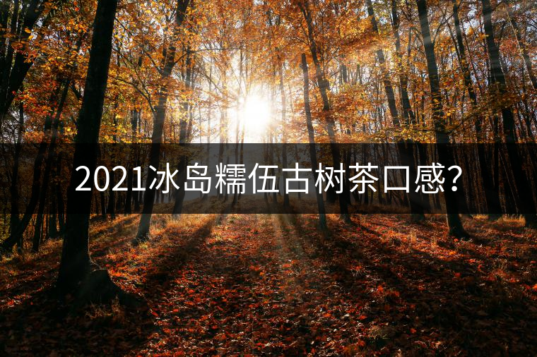 2021冰島糯伍古樹茶口感？