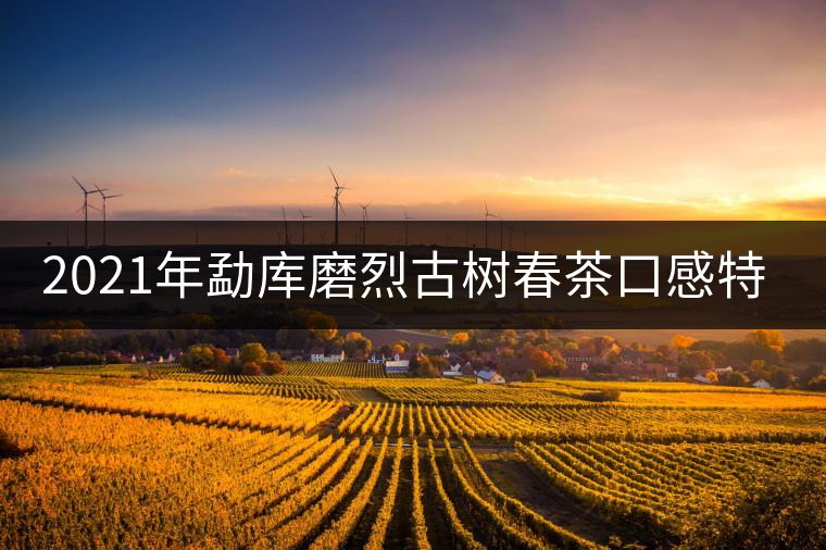 2021年勐庫磨烈古樹春茶口感特點(diǎn)是什么？