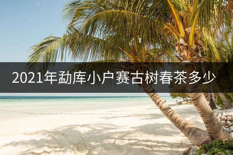 2021年勐庫小戶賽古樹春茶多少錢一公斤？