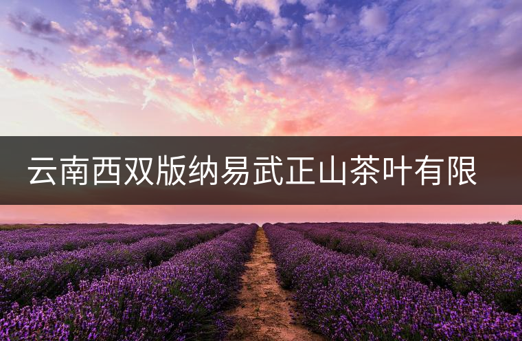 云南西雙版納易武正山茶葉有限公司簡(jiǎn)介