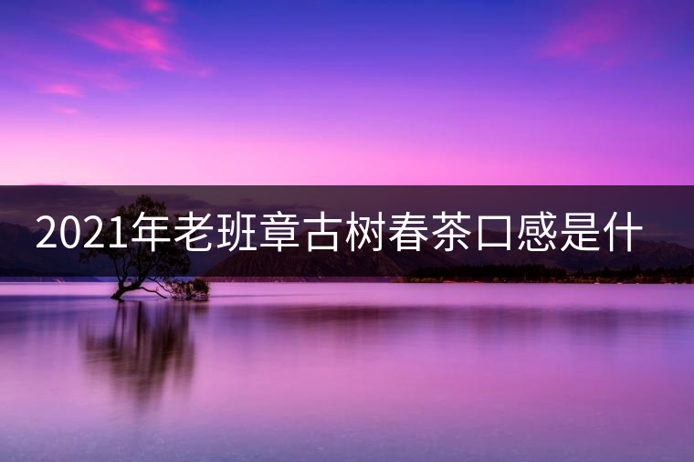 2021年老班章古樹春茶口感是什么？