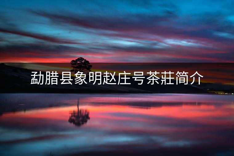 勐臘縣象明趙莊號(hào)茶莊簡介 勐臘縣象明趙莊號(hào)茶莊簡介