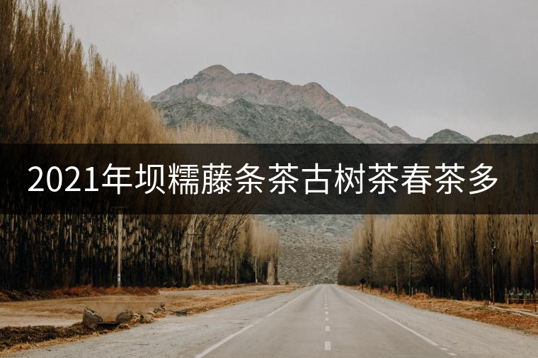 2021年壩糯藤條茶古樹茶春茶多少錢一公斤？