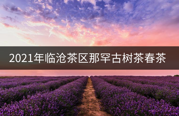 2021年臨滄茶區(qū)那罕古樹茶春茶多少錢一公斤？