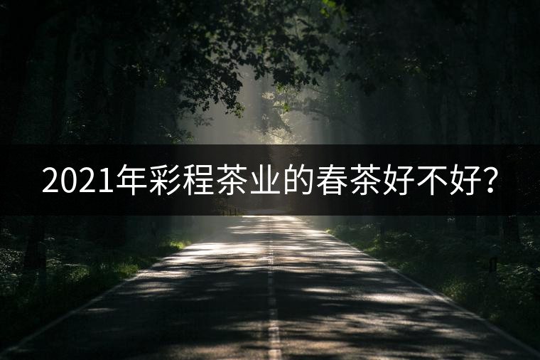 2021年彩程茶業(yè)的春茶好不好？