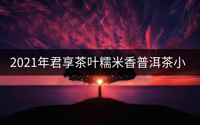 2021年君享茶葉糯米香普洱茶小沱茶餅口感好嗎? 2021年君享茶葉糯米香普洱茶小沱茶餅口感好嗎?