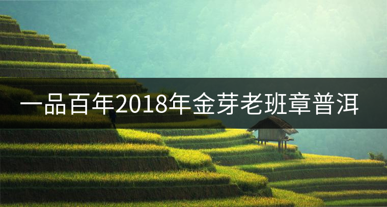 一品百年2018年金芽老班章普洱茶餅醇厚度好不好？